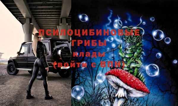 ПСИЛОЦИБИНОВЫЕ ГРИБЫ Алзамай