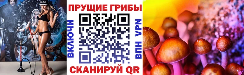 Псилоцибиновые грибы мицелий  продажа наркотиков  Сосновка 